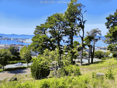 IMG_20220918_142050_480x360