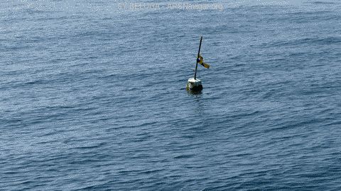 P1080514_480x270