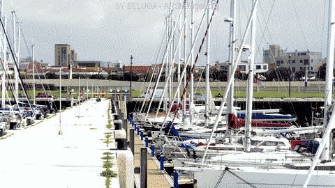 P1080535_480x270