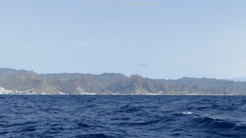 P1100724_480x270