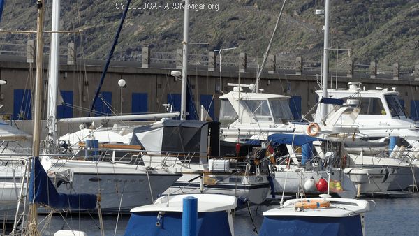 P1100754_600x338