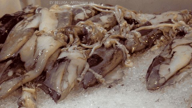 P1100851_640x360
