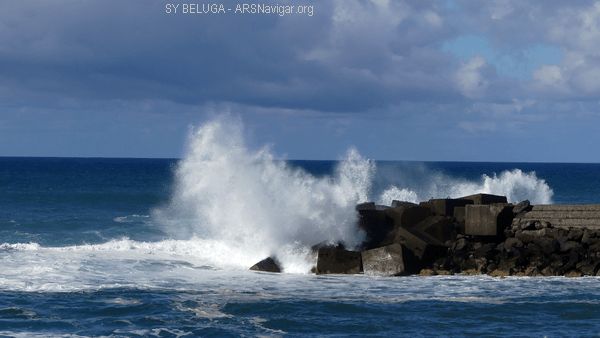P1110210_600x338