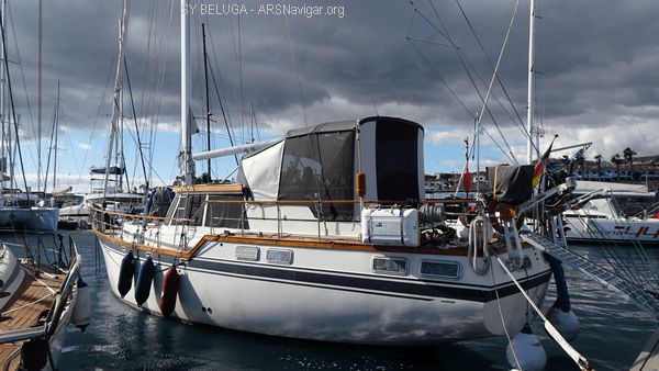 DSC05386_600x338