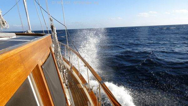 DSC05445_600x338