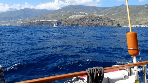 DSC05457_600x338
