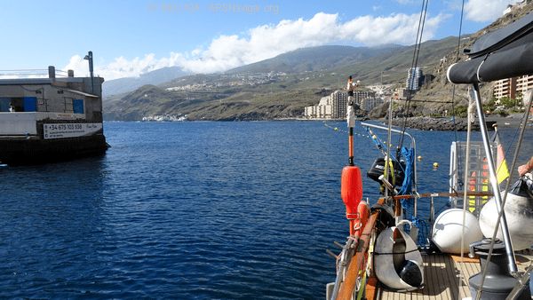 DSC05467_600x338