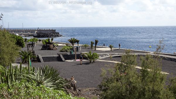DSC05476_600x338