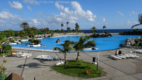 DSC05480_600x338