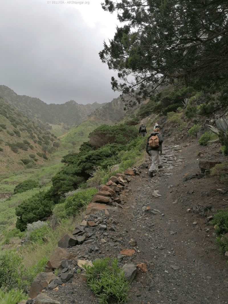 IMG_20230222_131122_800_1067