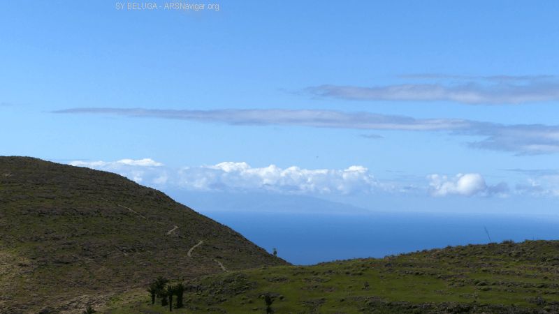 P1120083_800_450