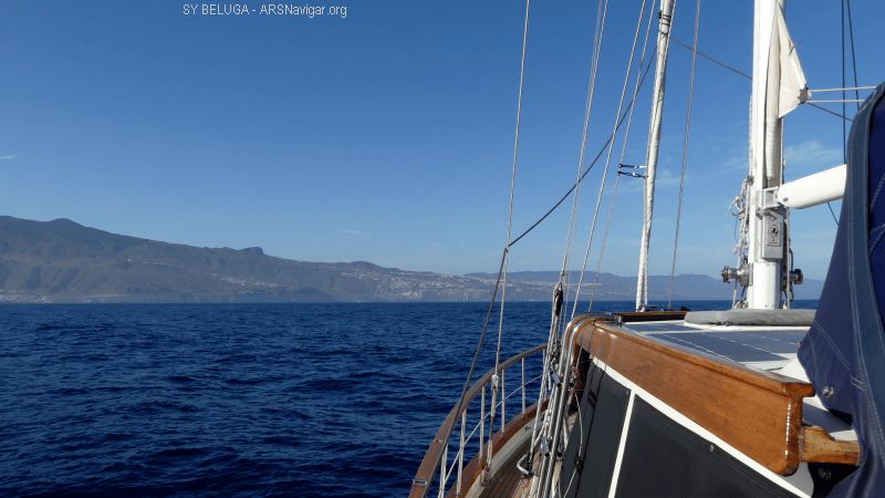 P1120122_800_450